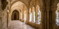 Getsemanės sodo alyvuogės | Pažintinė kelionė #6