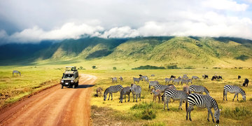 Safaris rojuje | Pažintinė kelionė