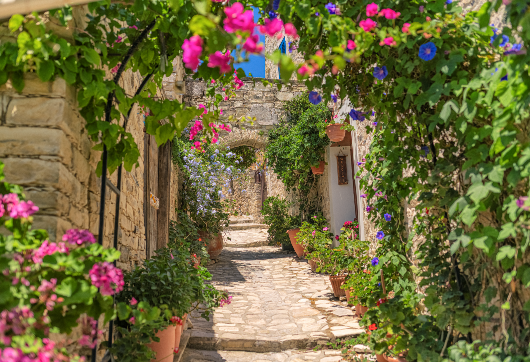 Lefkara / Nikozja – Ostatnia podzielona stolica (z Pafos) (zima)