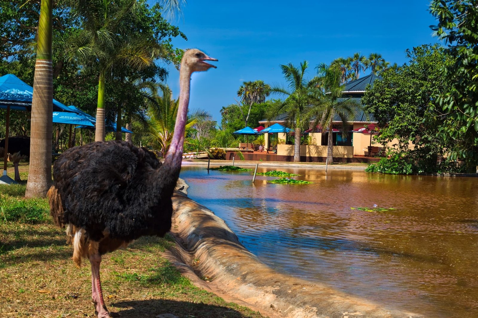 Bora Bora Wildlife Sanctuary Park