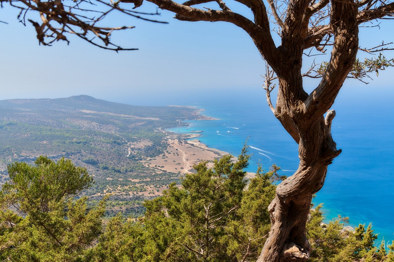 Akamas Jeep Safari - Wąwóz Avakas i Lara Beach