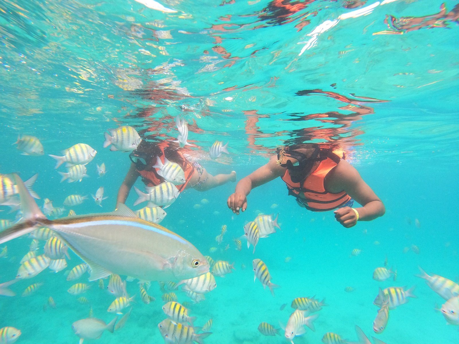 Przygoda łodzią motorową – snorkeling i naturalny basen Bávaro