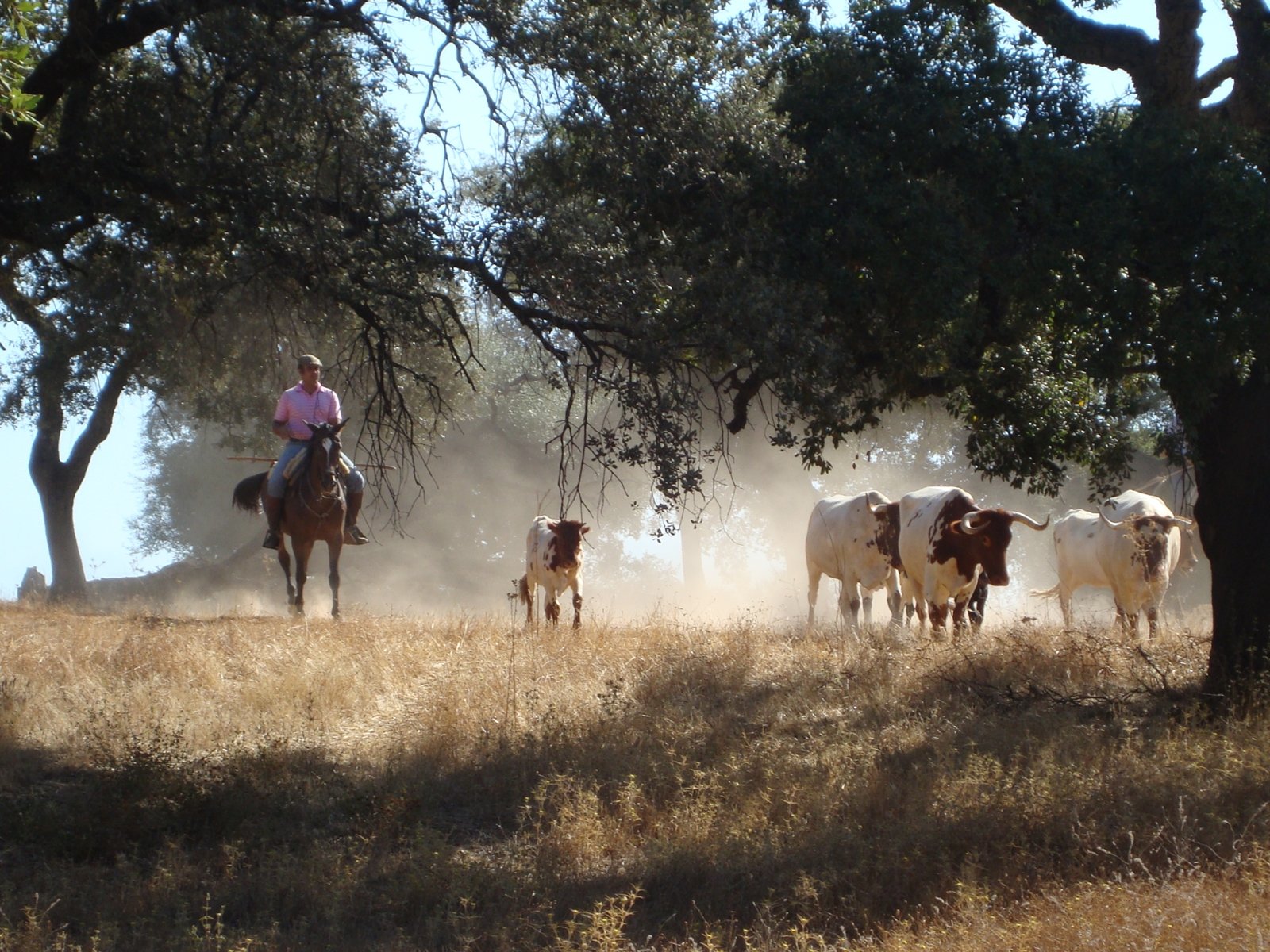 Tradycje andaluzyjskie