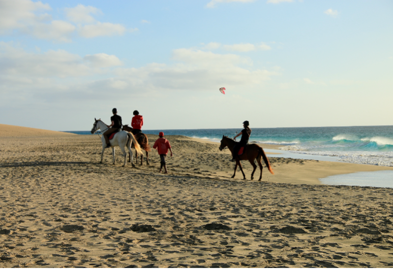 1 godzina jazdy konnej – Kite Beach 