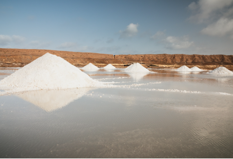 1 godzina przejażdżka konna - Solniska Santa Maria 
