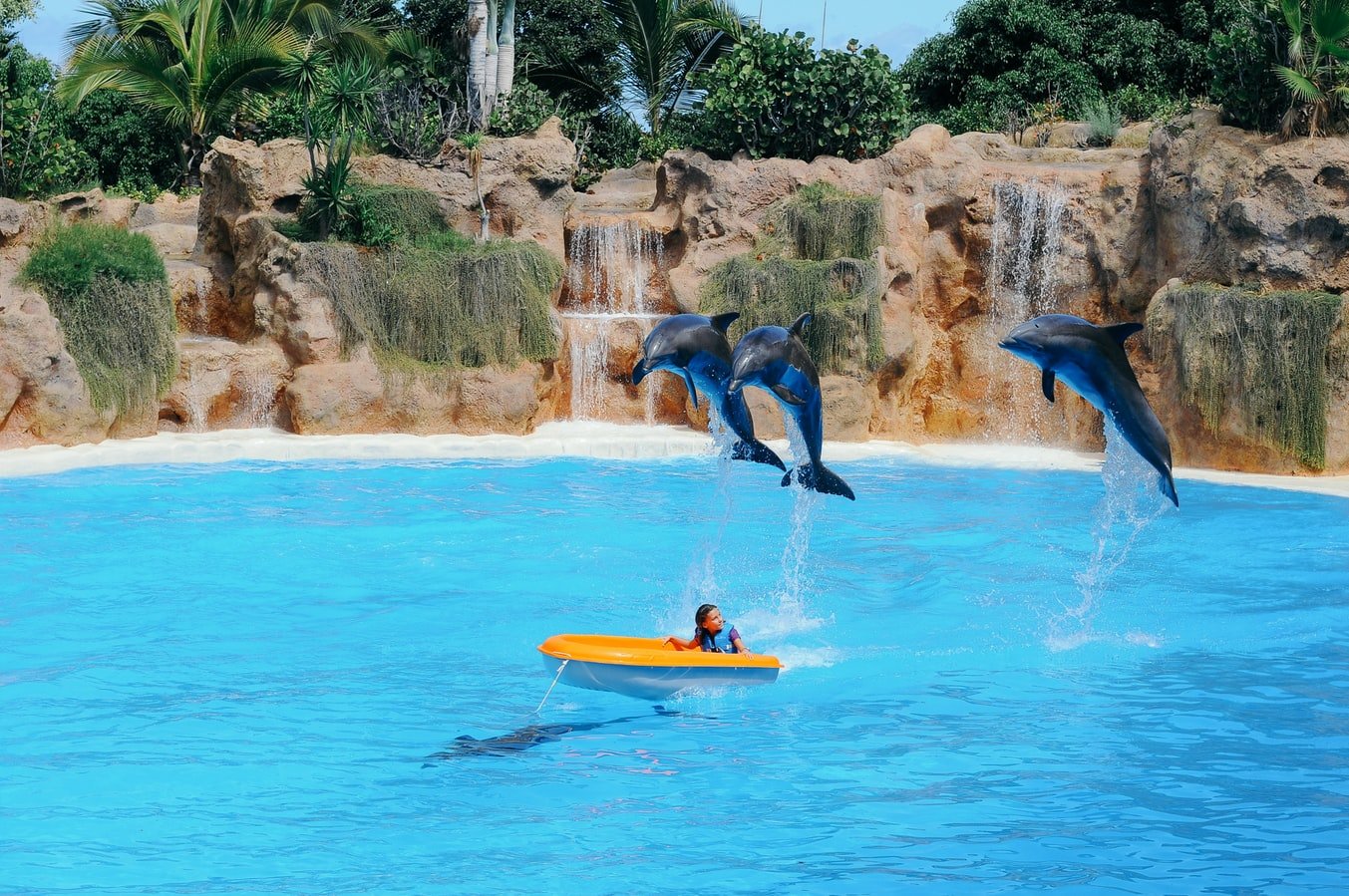 Sealanya Seepark & Dolphin Show
