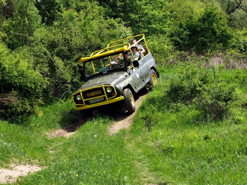 Jeep Safari (z Albeny)