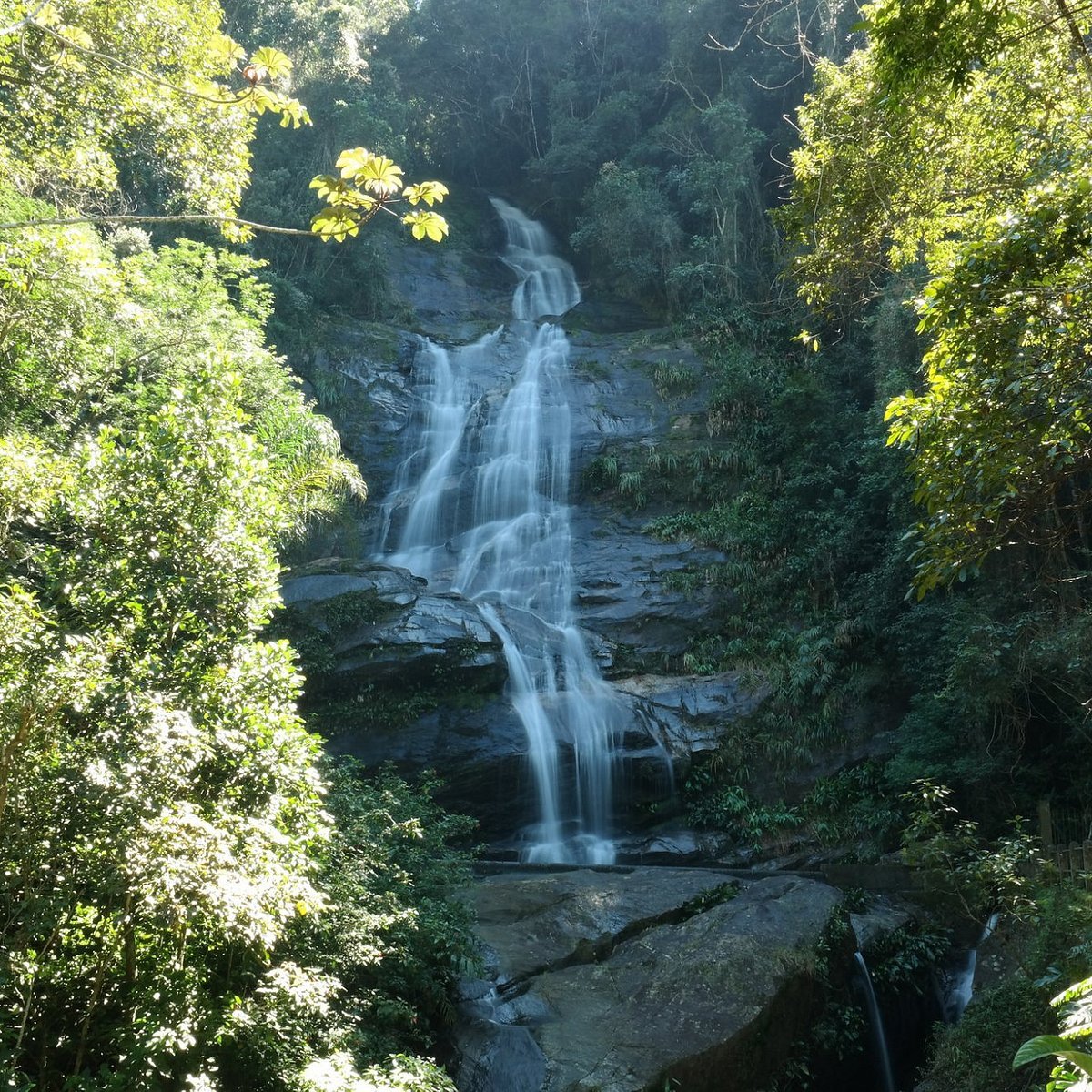 Floresta da Tijuca od Jeepu