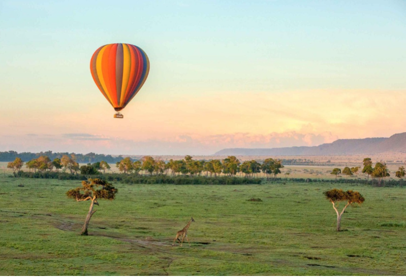 Safari w Masai Mara - 3 dni z Mombasy