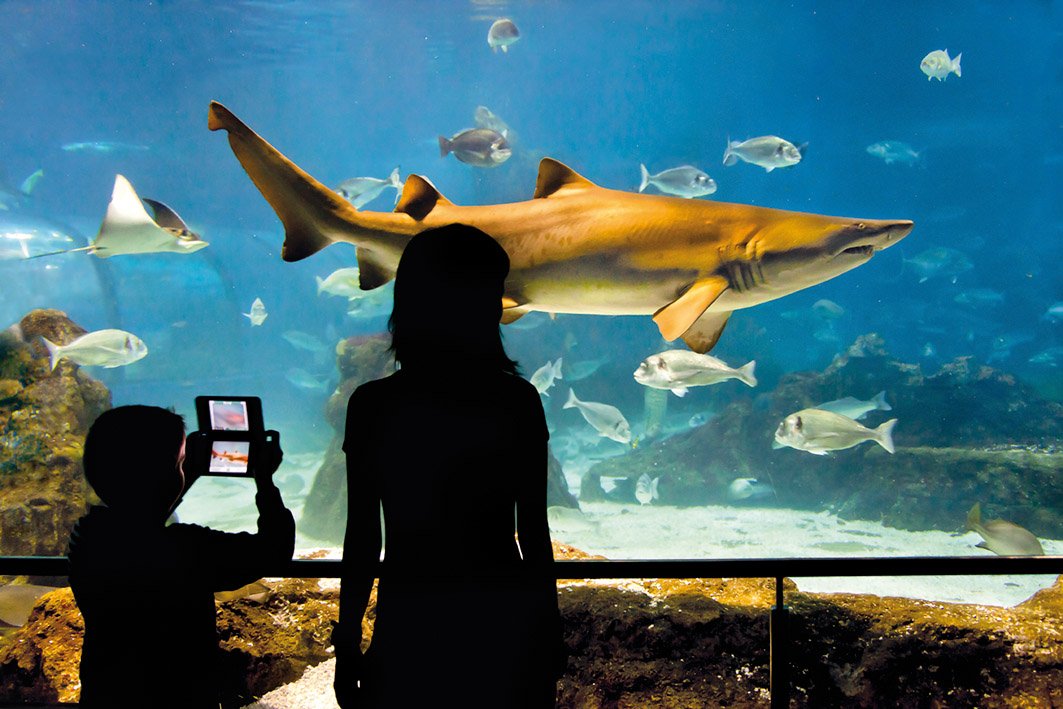 Aquarium Barcelona Costa Dorada városából
