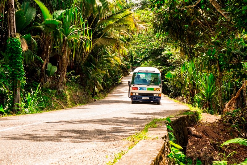 Vallee de Mai a Anse Lazio