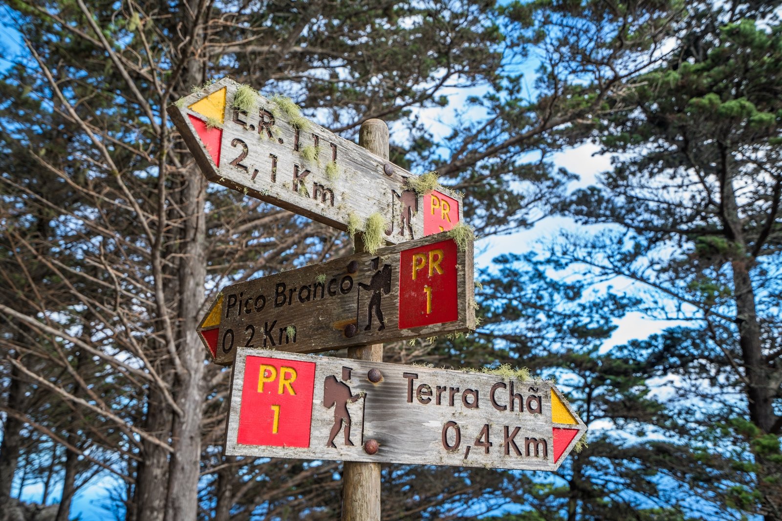 Trekking: Pico Branco - Terra Chã