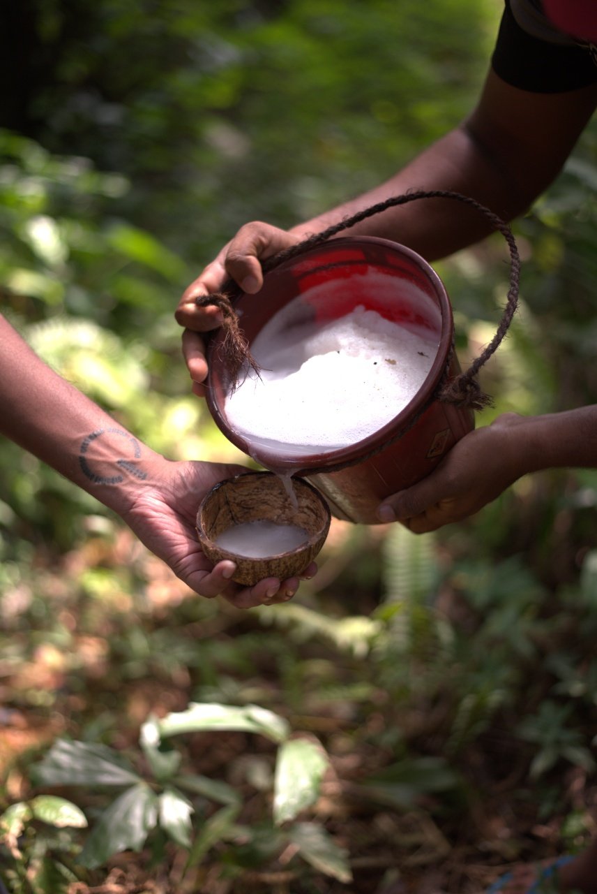 Kithul Treacle a Toddy Production 