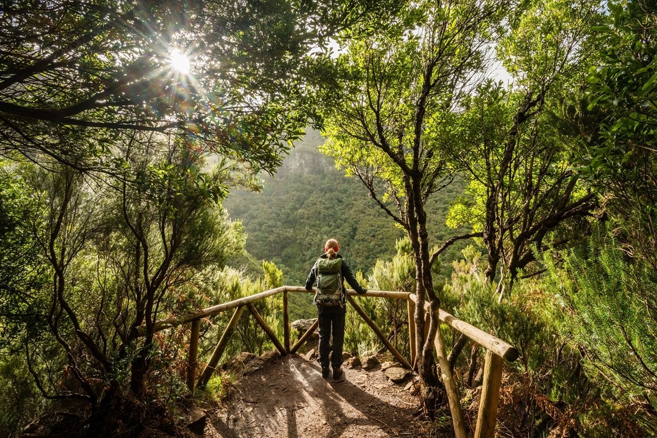 Levada Rabacal a 25 Fontes