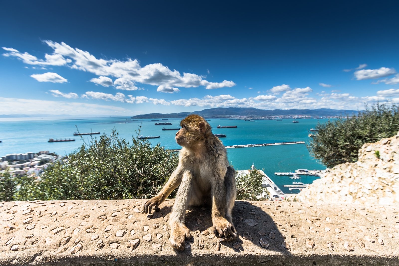 Półwysep Gibraltar