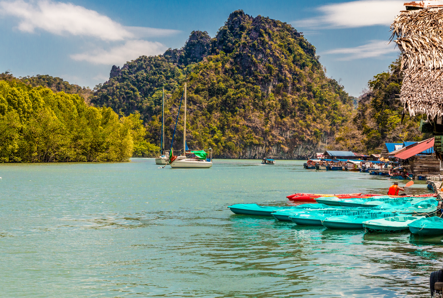 Kajakiem po lasach namorzynowych w Langkawi