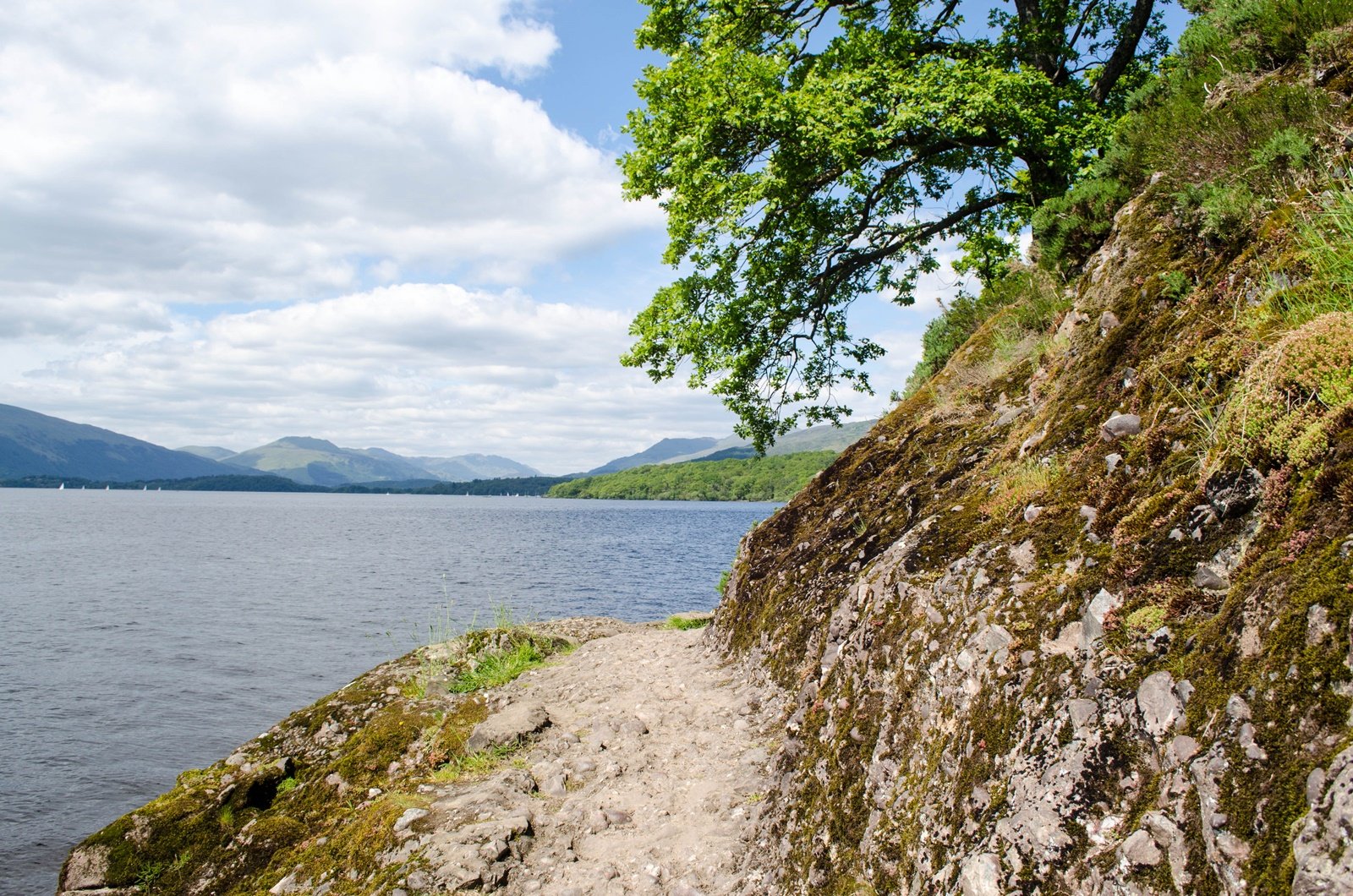 Stirlingi loss, Loch Lomond ja viski