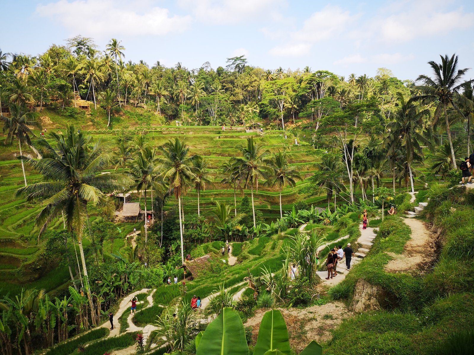 Kintamani Tour 