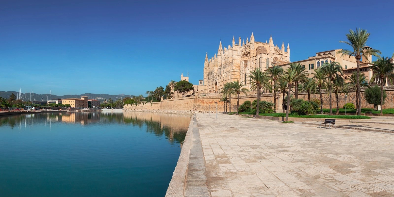 Palma Free Style North
