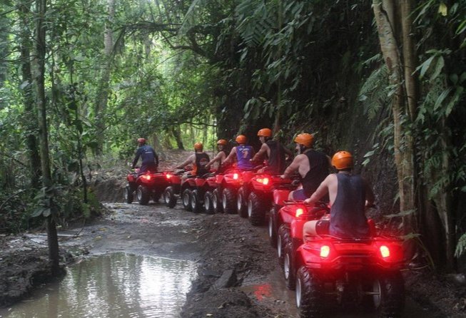 Wyprawa na quadach w Ubud