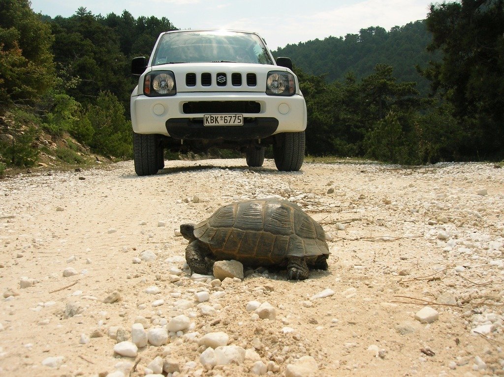 Jeep Safari – Thassos