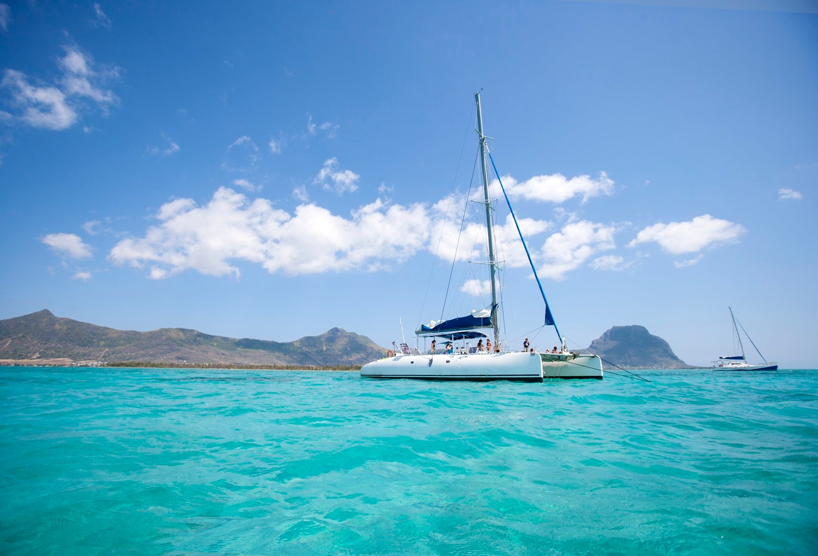 Obserwacja delfinów na Mauritiusie