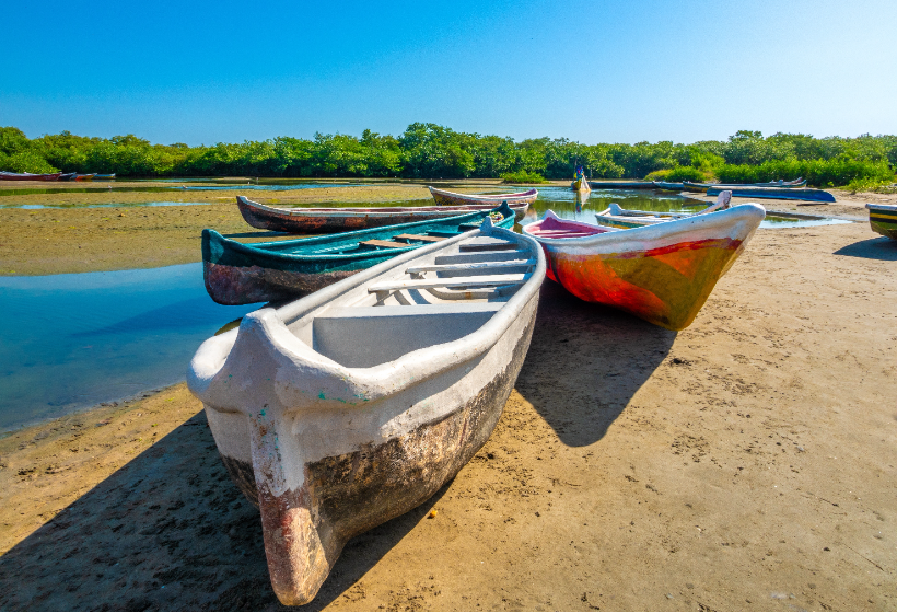 La Boquilla z Cartageny - karaibska kultura, lasy namorzynowe i spotkanie z lokalną społecznością 