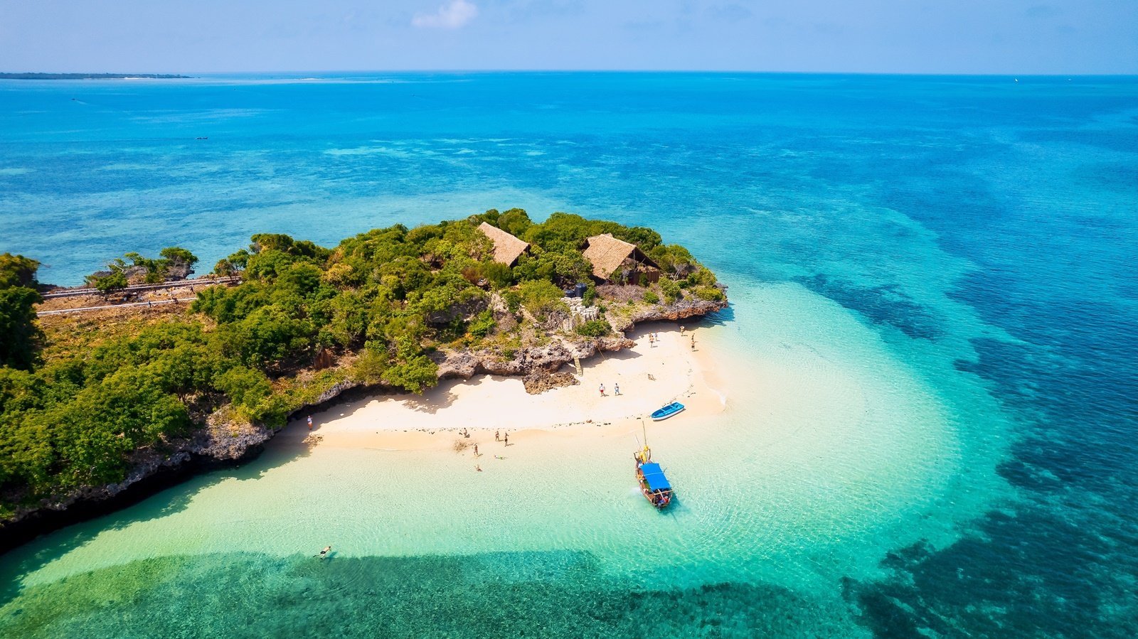 Snorkeling przy wyspie Mnemba