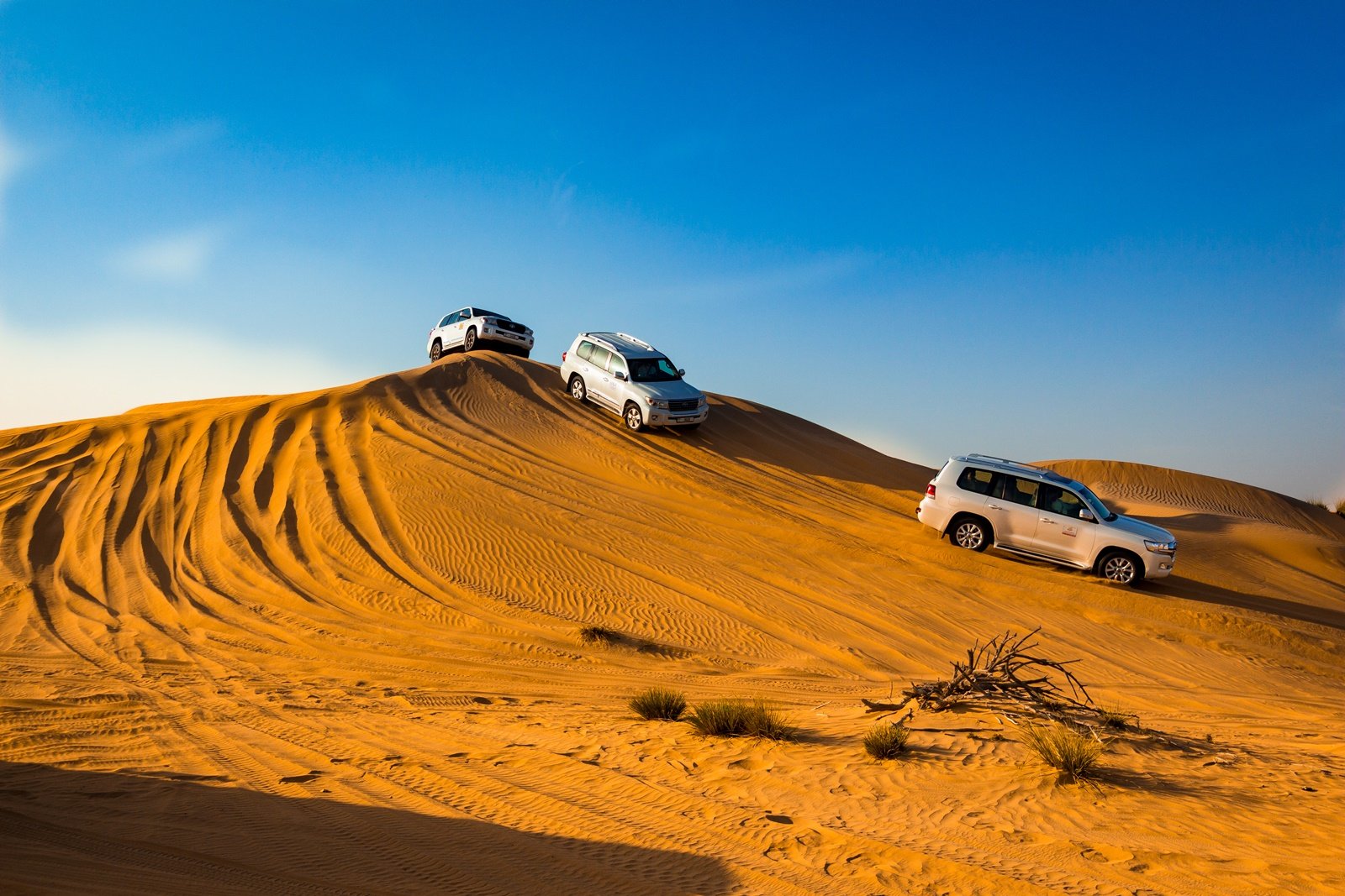 Desert Safari from Abu Dhabi