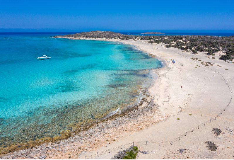 Chrissi VIP from Istron (PL)