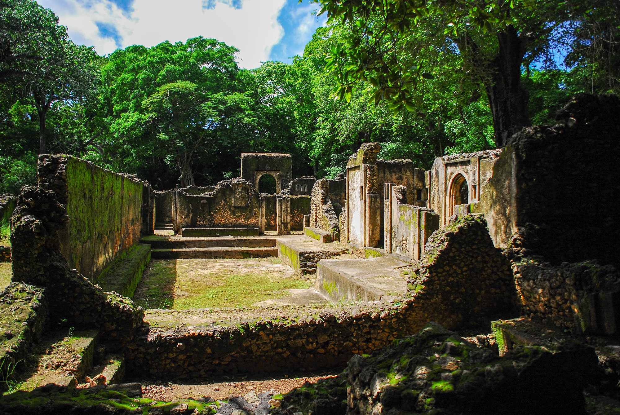 Gedi drupas (pus dienas)