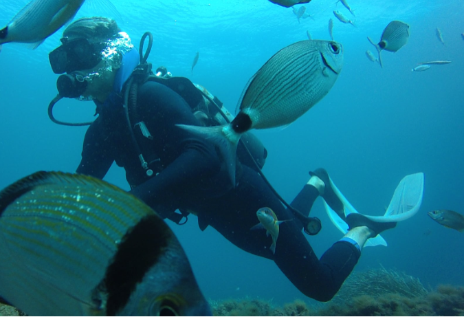 Discover Scuba Diving – 2 zejścia nurkowe (z Hammametu)