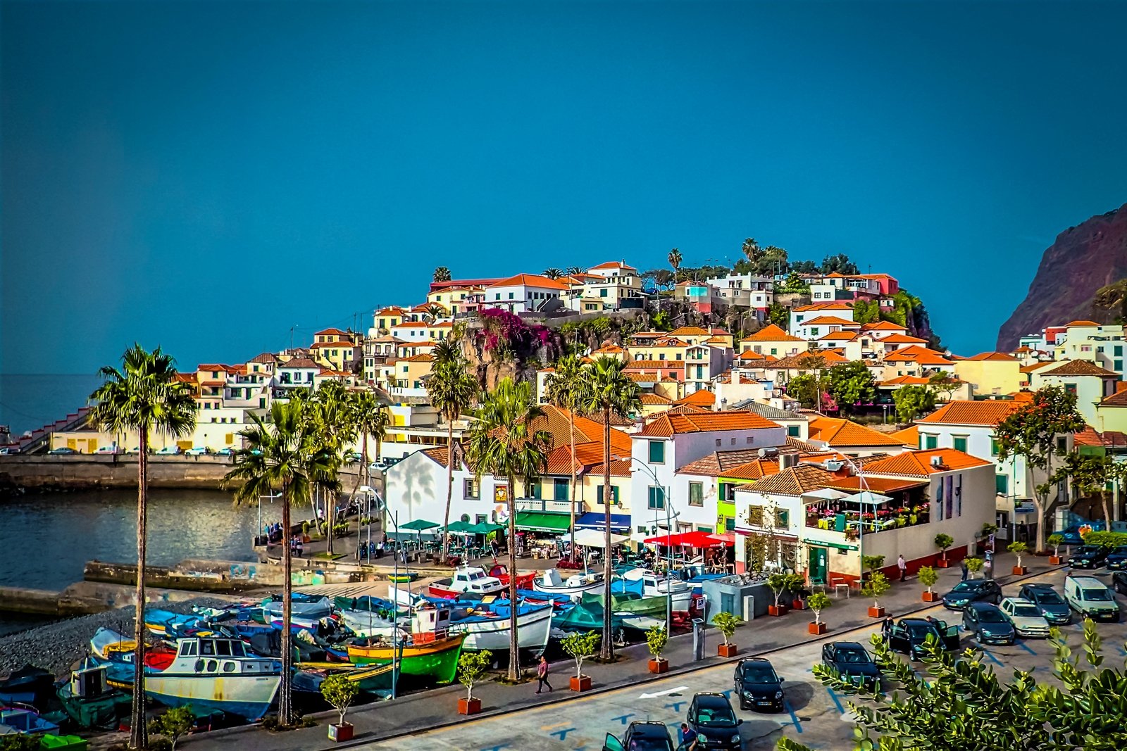 Funchal - návštěva tržnice