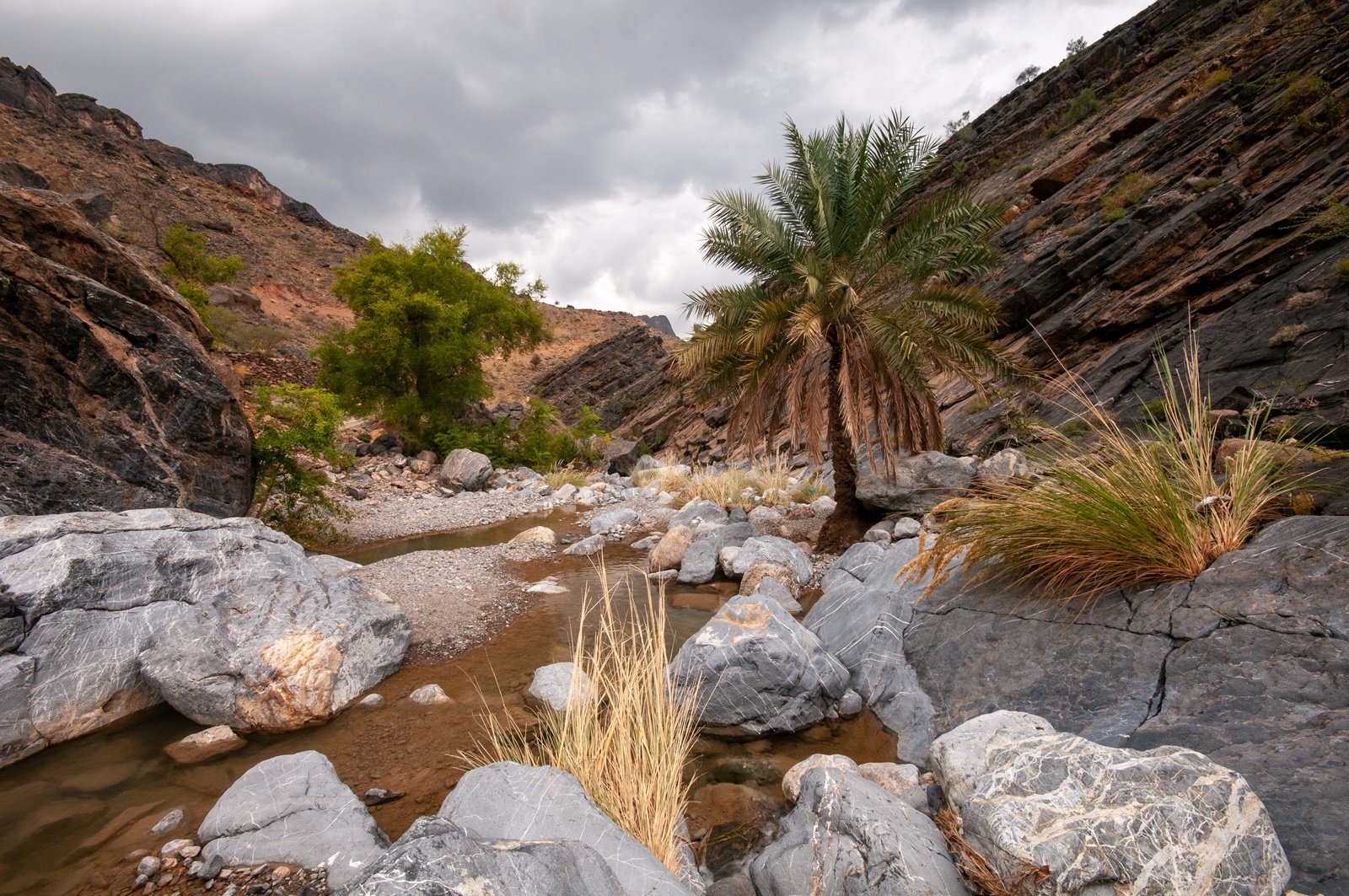 Niesamowita Wadi Bani Awf i Kanion Węża