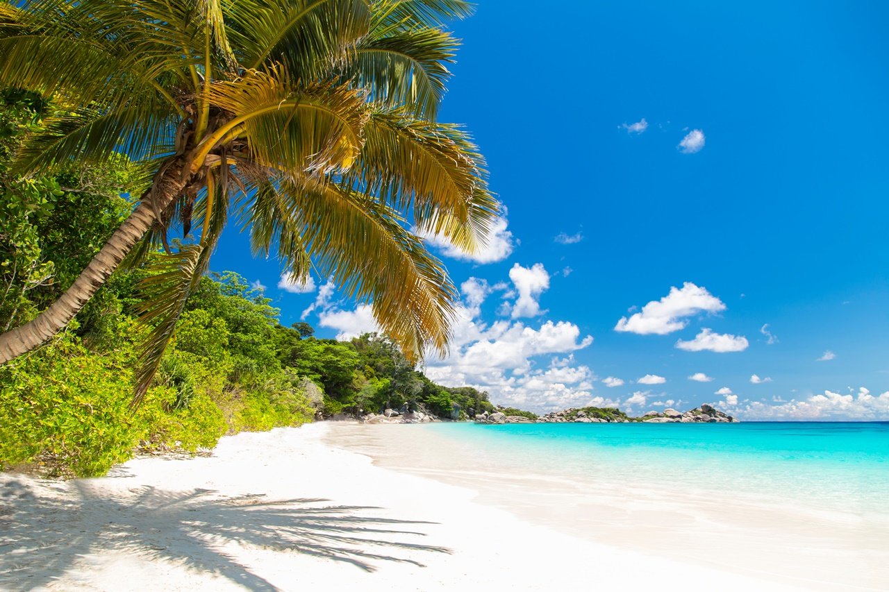 Wyspy Similan – poranny rejs motorówką (wyjazd z Khao Lak)