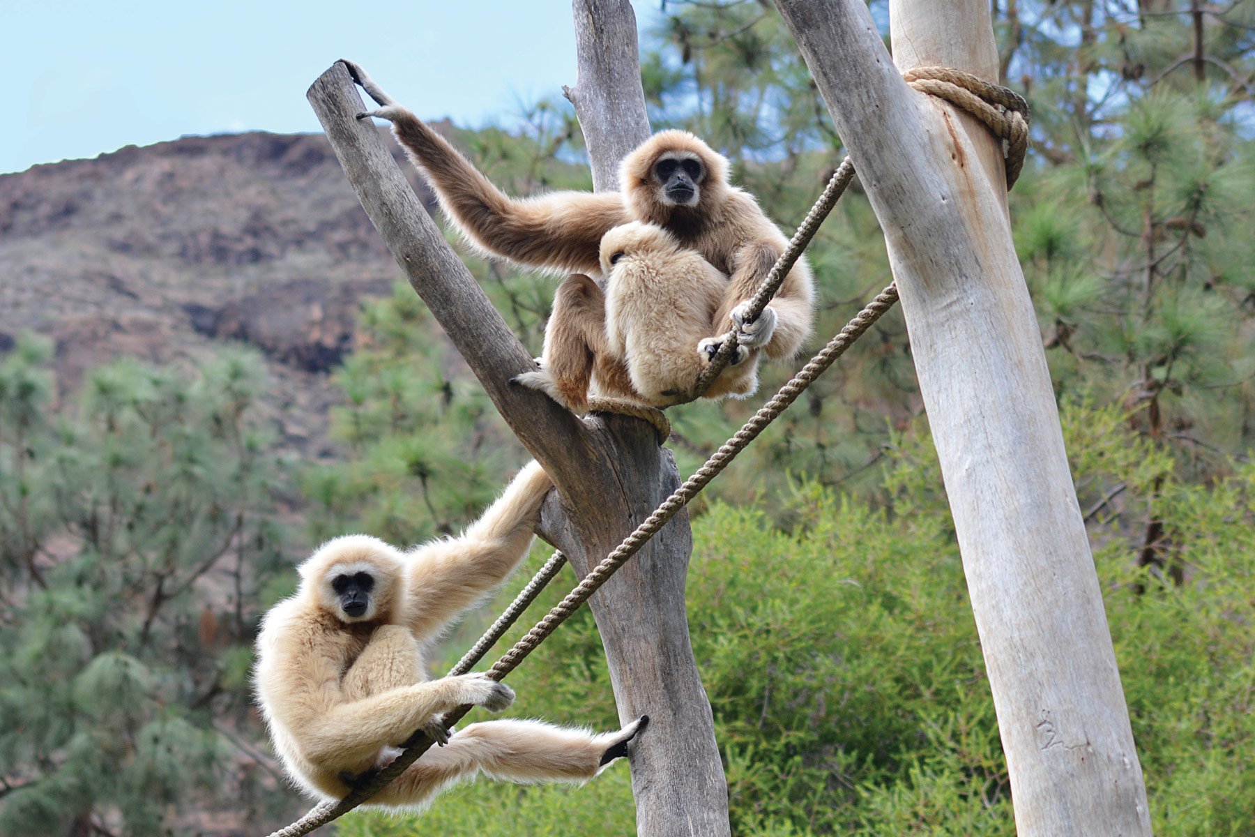 Palmitos Park