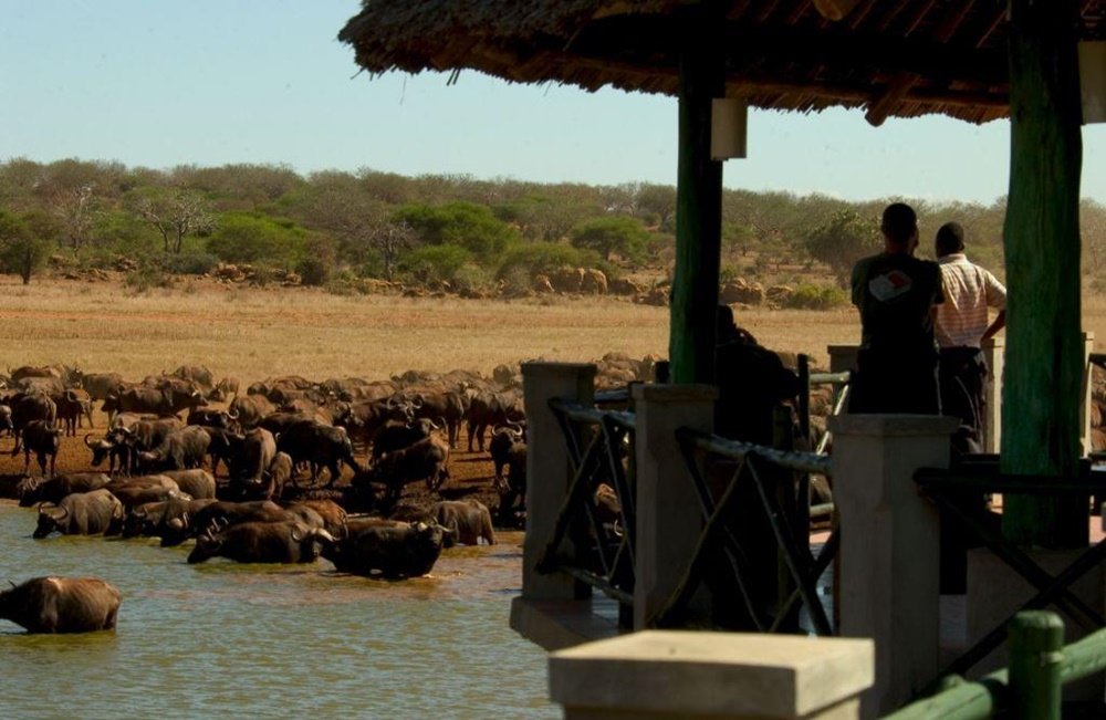 Safari Tsavo (2 dni)