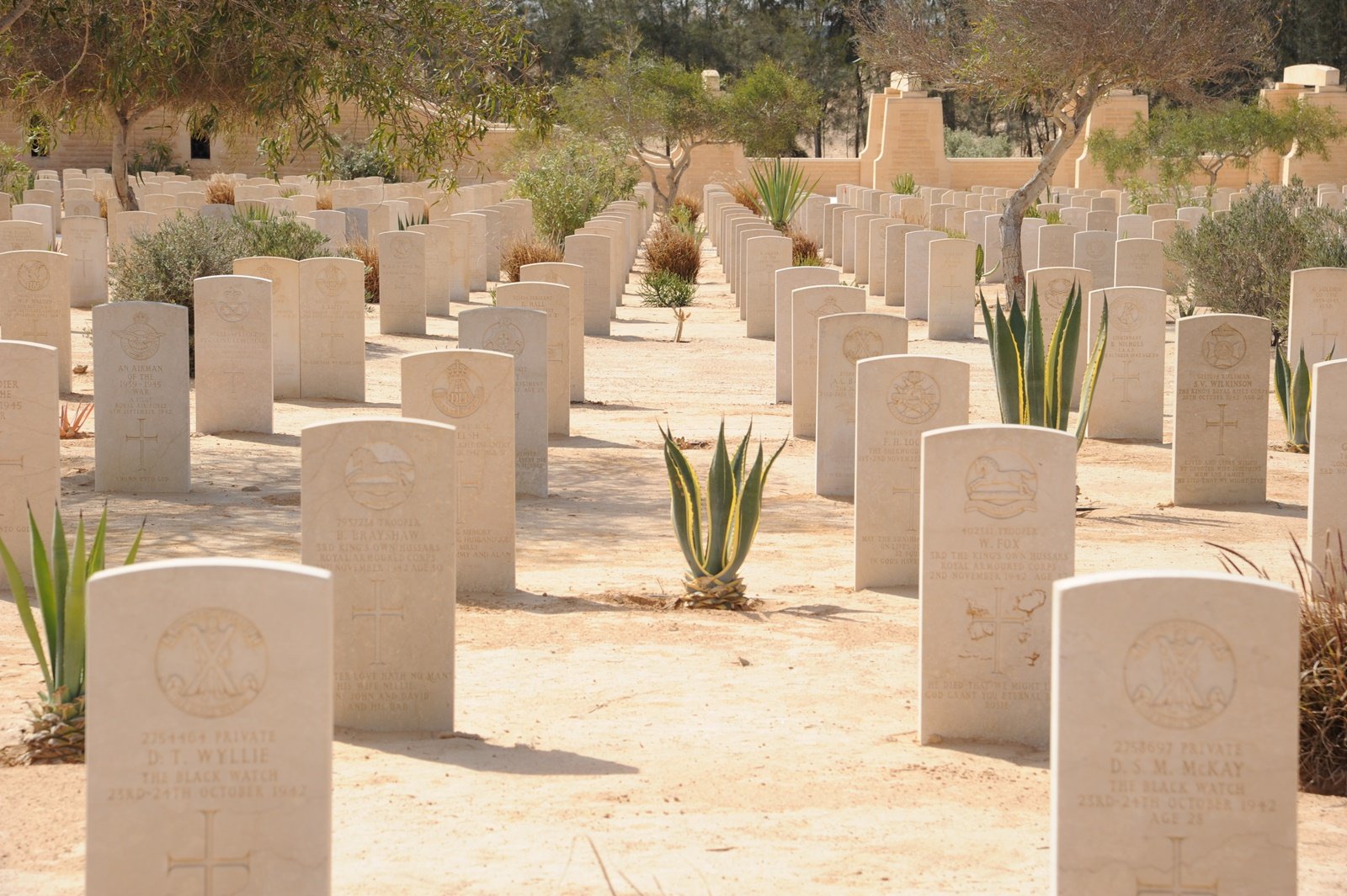 El Alamein – z historią w tle