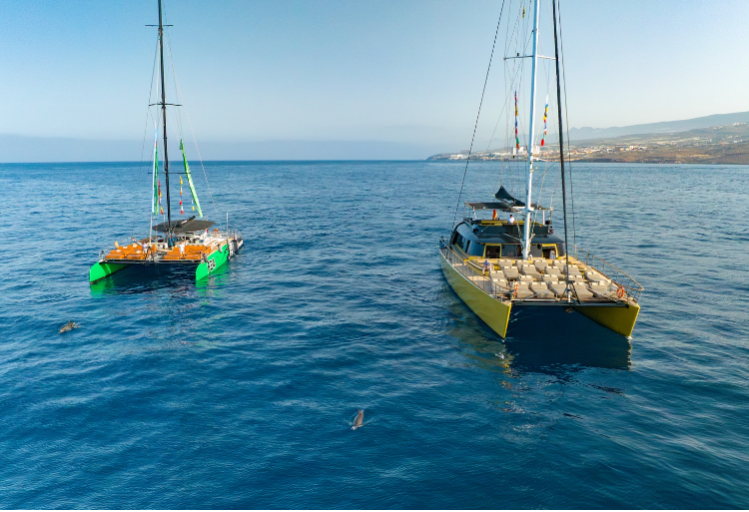 Rejs katamaranem Free Bird z Los Gigantes (3 godziny) 