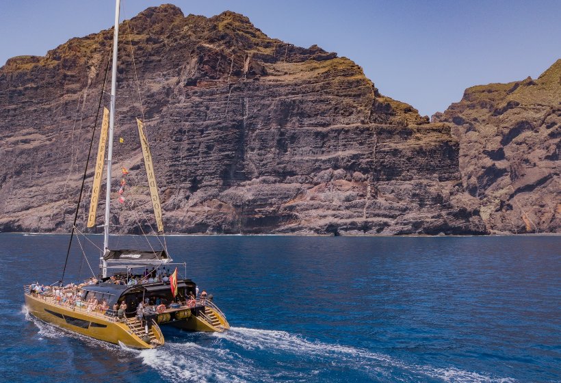 Rejs katamaranem Free Bird z okolic Los Gigantes (4,5 godziny) 