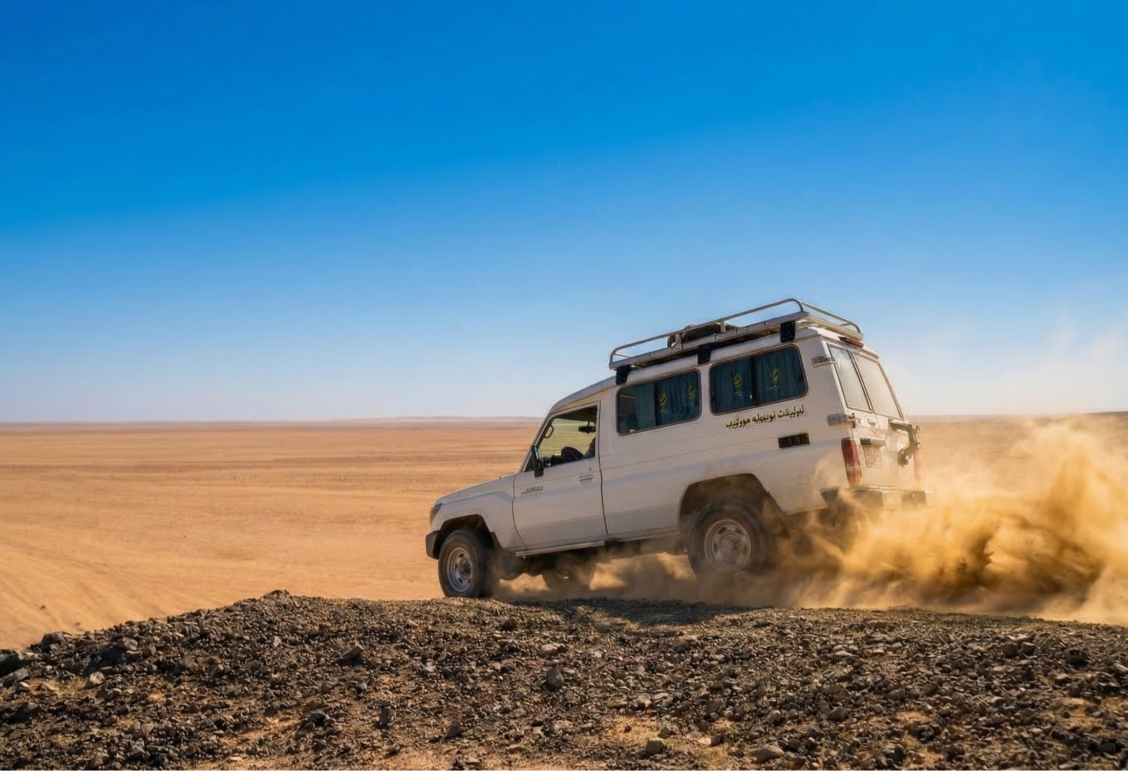 Fun Safari