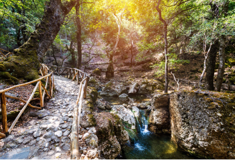 Wycieczka na Rodos (RO)