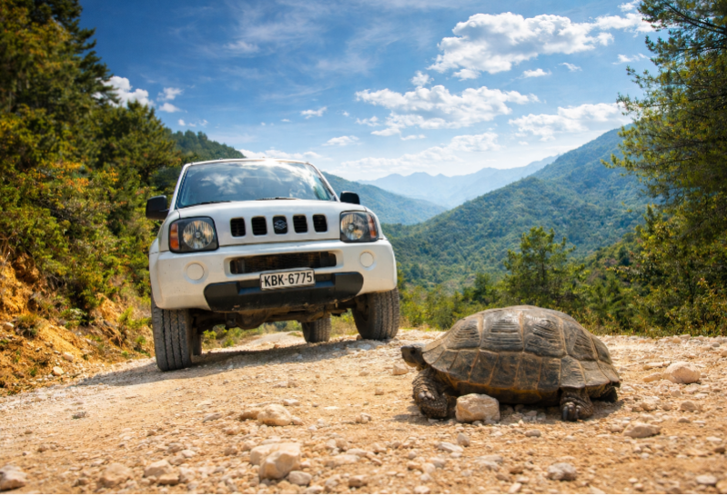 Safari jeepami po Thassos - odkryj wnętrze wyspy