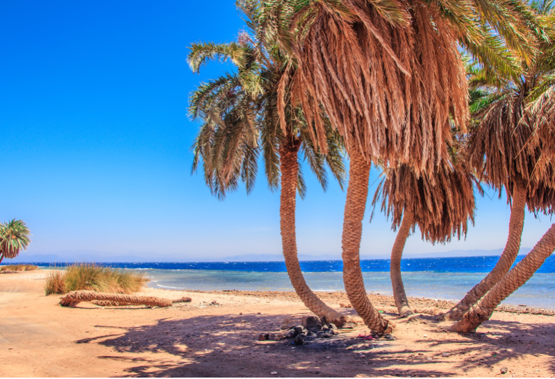 Magiczne Dahab - Three Pools, safari na quadach i snorkeling po Blue Lagoon