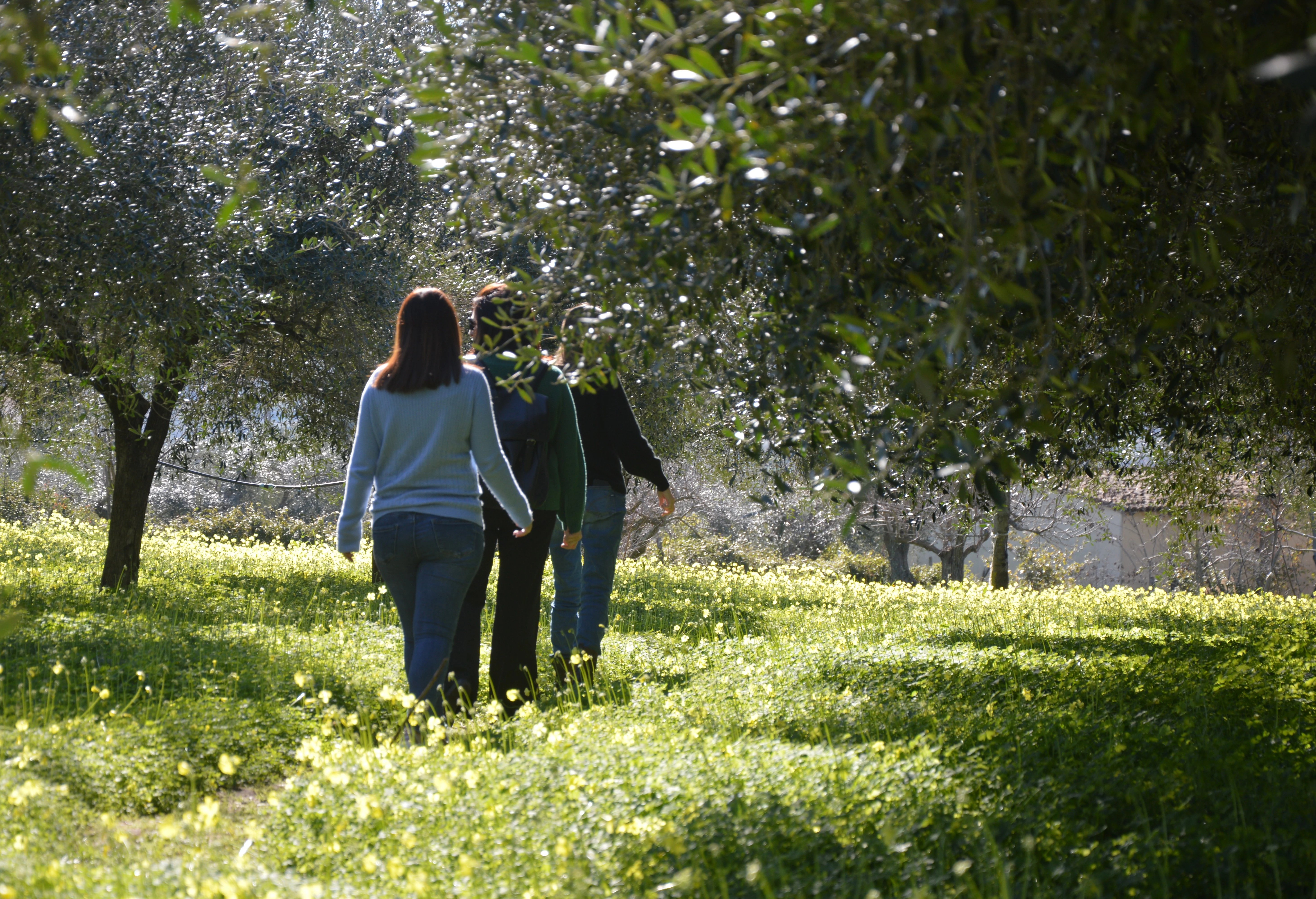 Calabria Farm Experience - natura i lokalne tradycje