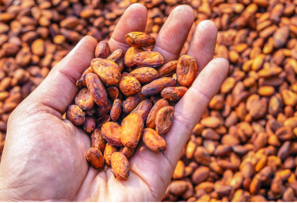 Millot i Ambanja, czyli smaki Madagaskaru