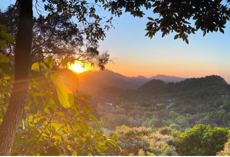 Minca – Kawa, kakao i wodospady Sierra Nevada