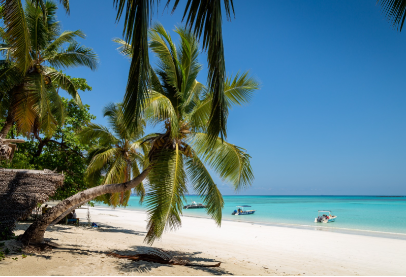 Pakiet Nosy (WYCIECZKA NA 3 WYSPY + WYCIECZKA NOSY BE AUTOBUSEM + NOSY IRANJA)