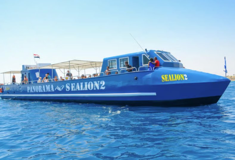 Podwodny świat Morza Czerwonego