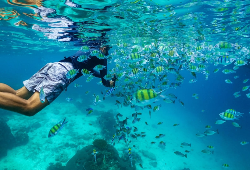 Prywatny rejs – Wyspy Phi Phi łodzią motorową